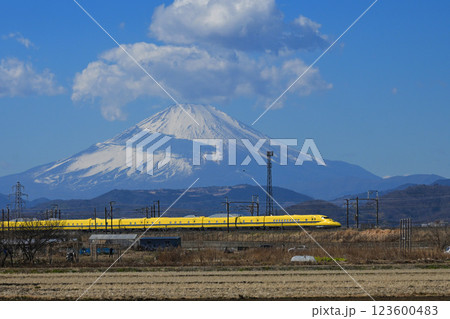 ドクターイエローT5編成と富士山　神奈川県平塚市 123600483
