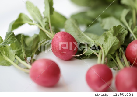 葉付きの有機栽培ラディッシュ 葉付きの有機栽培ラディッシュ 123600552