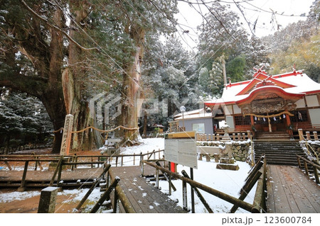 【高知県】雪が舞う日本一の杉の大杉と八坂神社 123600784