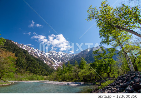 《上高地・新緑風景》河童橋周辺から望む穂高連峰の絶景 《上高地・新緑風景》河童橋周辺から望む穂高連峰の絶景 123600850
