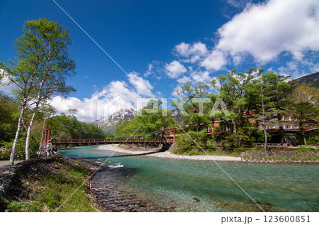 《上高地・新緑風景》爽やかな河童橋周辺 123600851