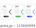 Web Comparision Boxes Plans Product Pricing Card Service Package 123600999