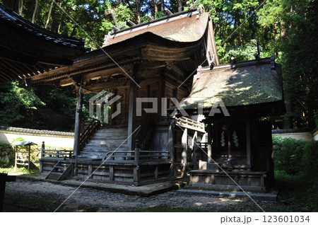 竹野神社摂社 123601034