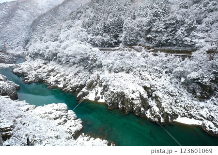 【徳島県】雪が舞う大歩危峡 【徳島県】雪が舞う大歩危峡 123601069