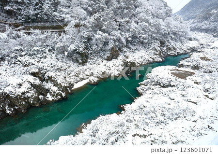 【徳島県】雪が舞う大歩危峡 【徳島県】雪が舞う大歩危峡 123601071