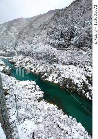 【徳島県】雪が舞う大歩危峡 123601072