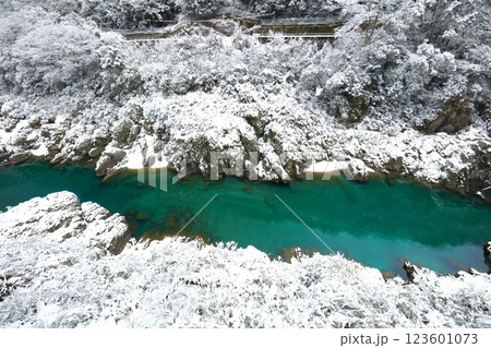 【徳島県】雪が舞う大歩危峡 123601073