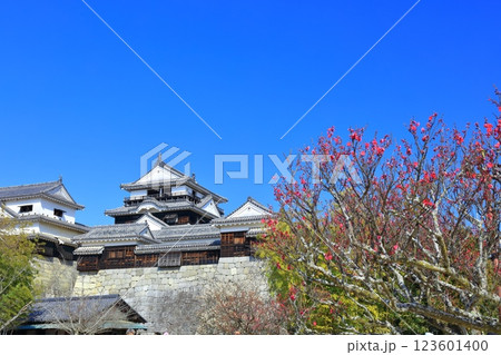 【愛媛県】早春の松山城と紅梅 123601400