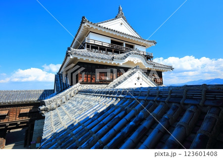 【愛媛県】快晴の松山城天守閣 123601408