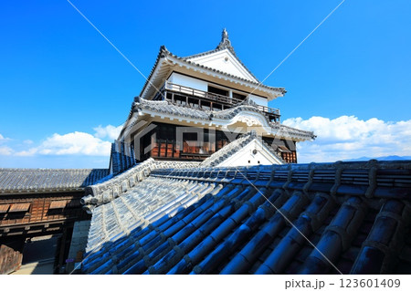 【愛媛県】快晴の松山城天守閣 123601409