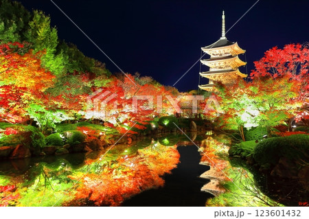【京都府】東寺の紅葉ライトアップ(夜間特別拝観) 【京都府】東寺の紅葉ライトアップ(夜間特別拝観) 123601432