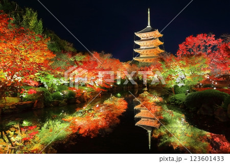 【京都府】東寺の紅葉ライトアップ(夜間特別拝観) 【京都府】東寺の紅葉ライトアップ(夜間特別拝観) 123601433