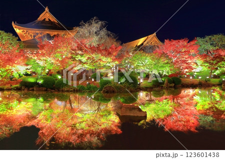 【京都府】東寺の紅葉ライトアップ(夜間特別拝観) 【京都府】東寺の紅葉ライトアップ(夜間特別拝観) 123601438