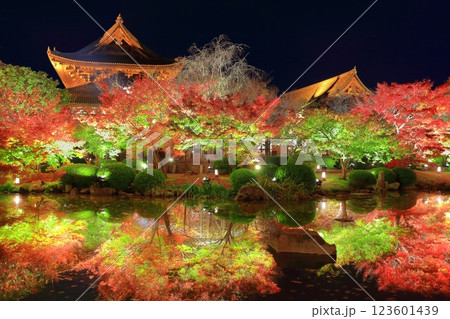 【京都府】東寺の紅葉ライトアップ（夜間特別拝観） 123601439