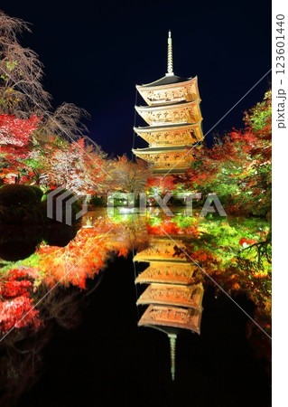 【京都府】東寺の紅葉ライトアップ(夜間特別拝観) 【京都府】東寺の紅葉ライトアップ(夜間特別拝観) 123601440