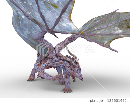 ドラゴン 123601452