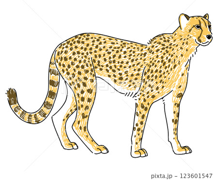 作家様 チーター ネコ科 絵画 水彩画 アート 手描きイラスト 原画 一点もの 作家様 チーター ネコ科 絵画 水彩画 アート 手描きイラスト