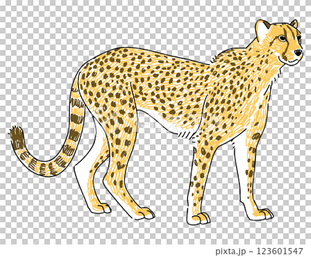 チーターの手描きイラスト チーターの手描きイラスト 123601547