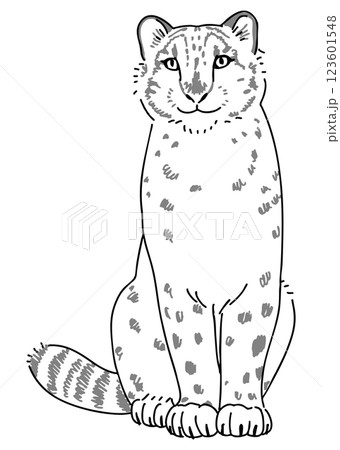 ユキヒョウの手描きイラスト ユキヒョウの手描きイラスト 123601548