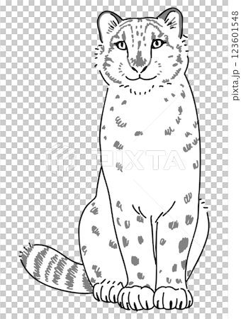 ユキヒョウの手描きイラスト ユキヒョウの手描きイラスト 123601548