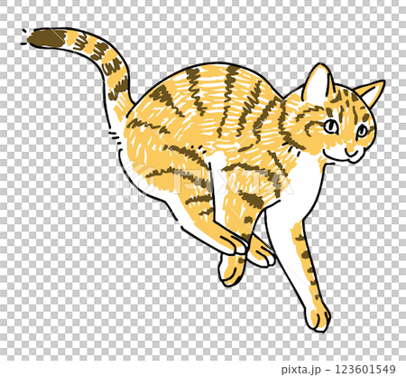 Hand-drawn illustration of a jumping tiger cat Hand-drawn illustration of a jumping tiger cat 123601549