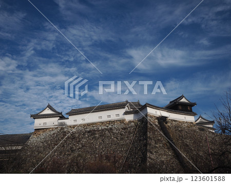早春の空と高知城(高知城梅の段からの石垣と白壁) 早春の空と高知城(高知城梅の段からの石垣と白壁) 123601588