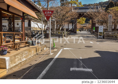 京都市　永観堂町周辺の町並み 123601644