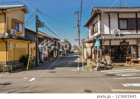 京都市　永観堂町周辺の町並み 123601645