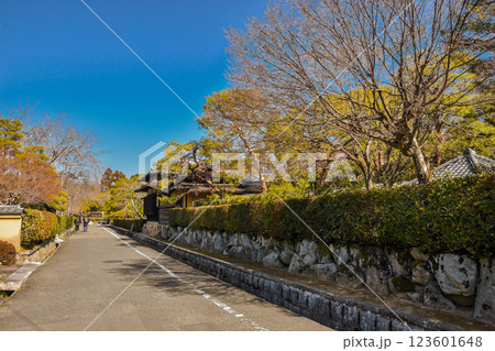 京都市　永観堂町周辺の町並み 123601648