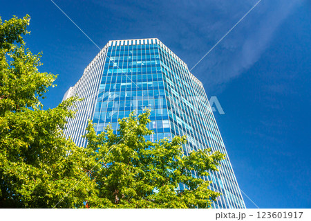 A modern office skyscraper on a clear day next to a green tree A modern office skyscraper on a clear day next to a green tree 123601917