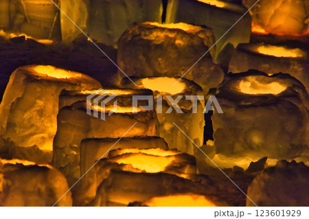 冬のイベント 123601929