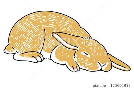 眠っているうさぎの手描きイラスト 123601952