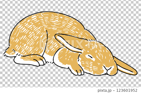 眠っているうさぎの手描きイラスト 123601952