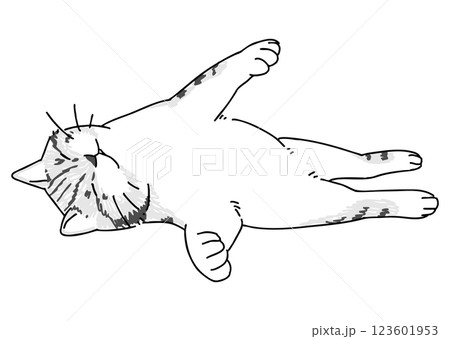眠っているネコの手描きイラスト 123601953