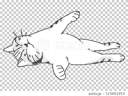 眠っているネコの手描きイラスト 123601953