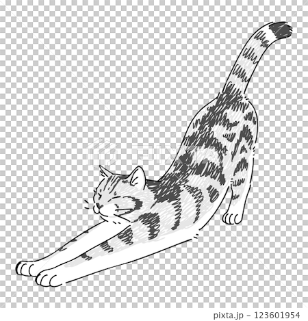 Hand-drawn illustration of a cat stretching 123601954