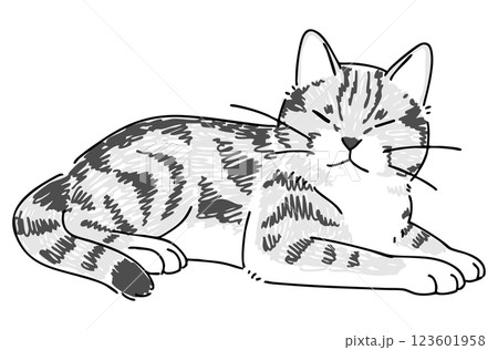 眠っているネコの手描きイラスト 眠っているネコの手描きイラスト 123601958