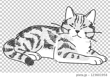 眠っているネコの手描きイラスト 眠っているネコの手描きイラスト 123601958