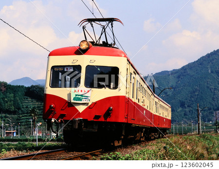 1994年大井川鐵道家山駅付近のモハ313 1994年大井川鐵道家山駅付近のモハ313 123602045