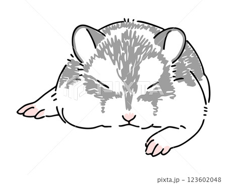 眠っているハムスターの手描きイラスト 眠っているハムスターの手描きイラスト 123602048