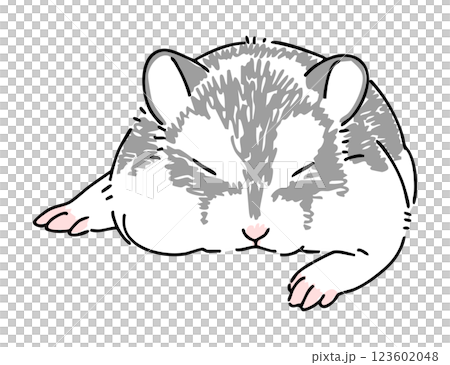 眠っているハムスターの手描きイラスト 眠っているハムスターの手描きイラスト 123602048