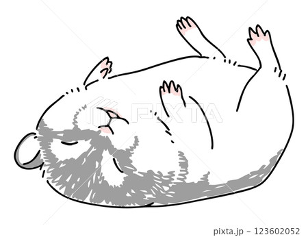 眠っているハムスターの手描きイラスト 123602052
