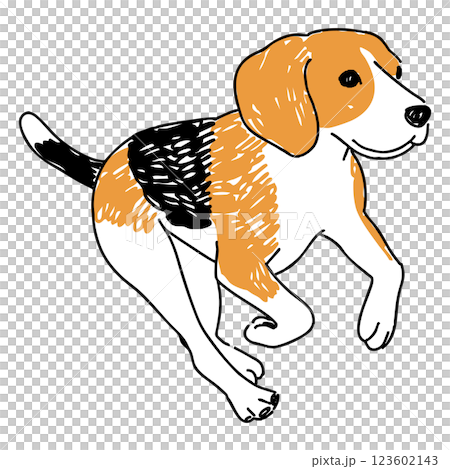 正在運行的小獵犬的插圖 123602143