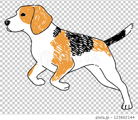 走っているビーグルのイラスト 123602144
