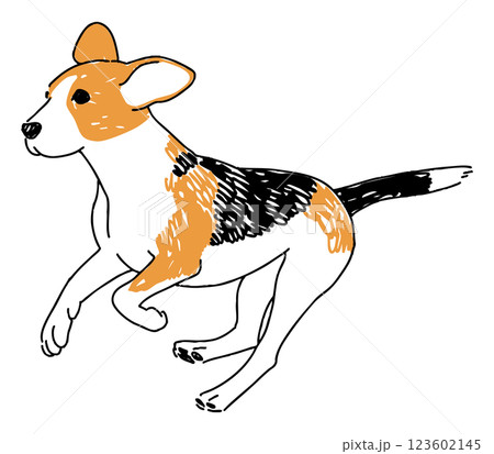 走っているビーグルのイラスト 123602145