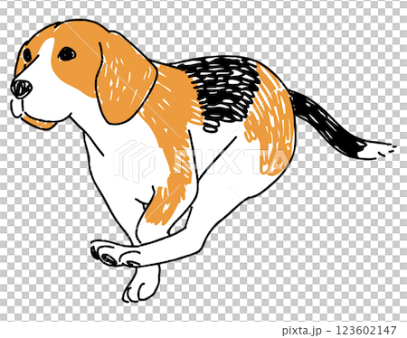 走っているビーグルのイラスト 123602147
