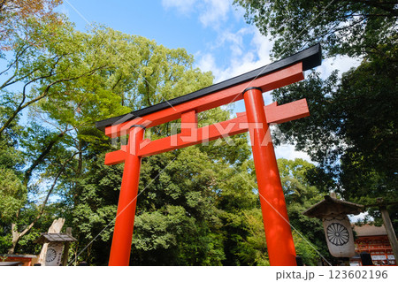 新緑と神社の朱色の建物　下鴨神社 123602196