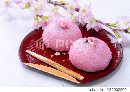 【春素材】桜餅・関西風桜餅・道明寺【食べ物素材】 123602205