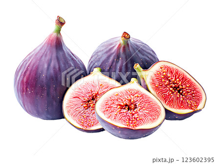Watercolor painting realistic fresh figs composition with whole and sliced pieces showing vibrant red flesh and seeds, isolated on white blackground. 123602395