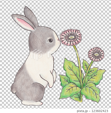 兔子和花圖 兔子和花圖 123602423